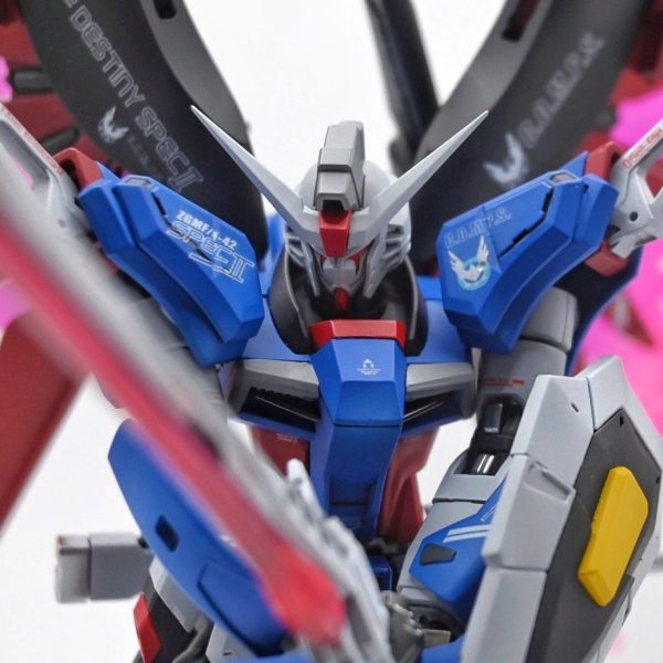 RG、HGデスティニーの組み合わせ