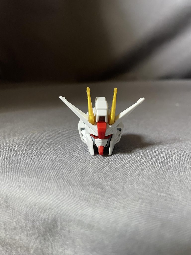 顔は、毎度ですが、エラを削って小顔にしてます