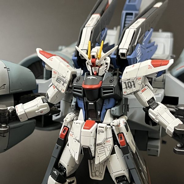 RGフリーダム＆HGミーティア