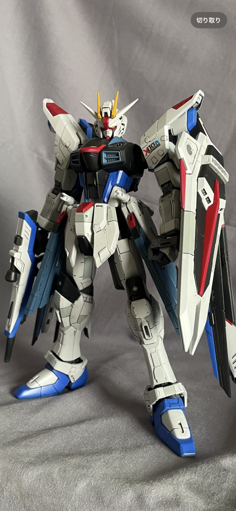 ライジングでもマイティーでもなく、満を持して普通のフリーダムです(笑)