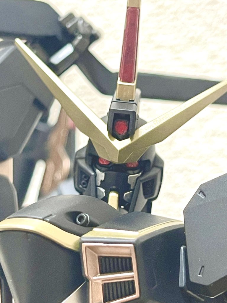 お顔アップを貼って終了します。ご覧頂きありがとうございました〜（SEEDコン間に合わなかったなぁ・・）