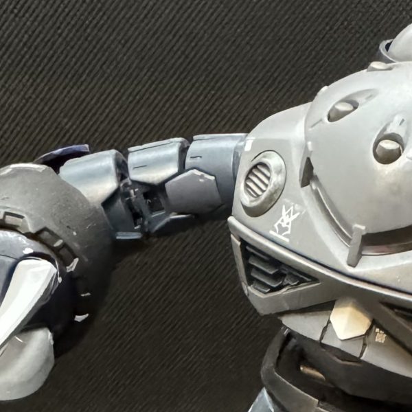 RG 1/144 ズゴック(シャア専用機)