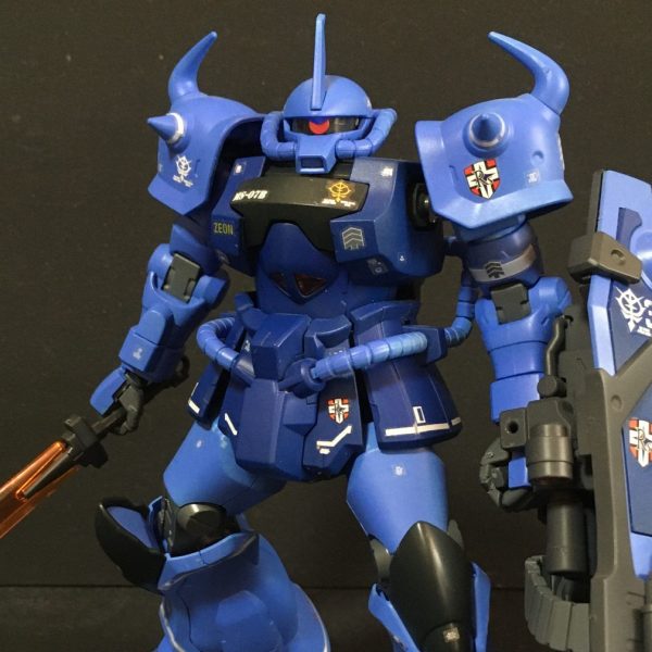 HGランバラル専用　グフカスタム