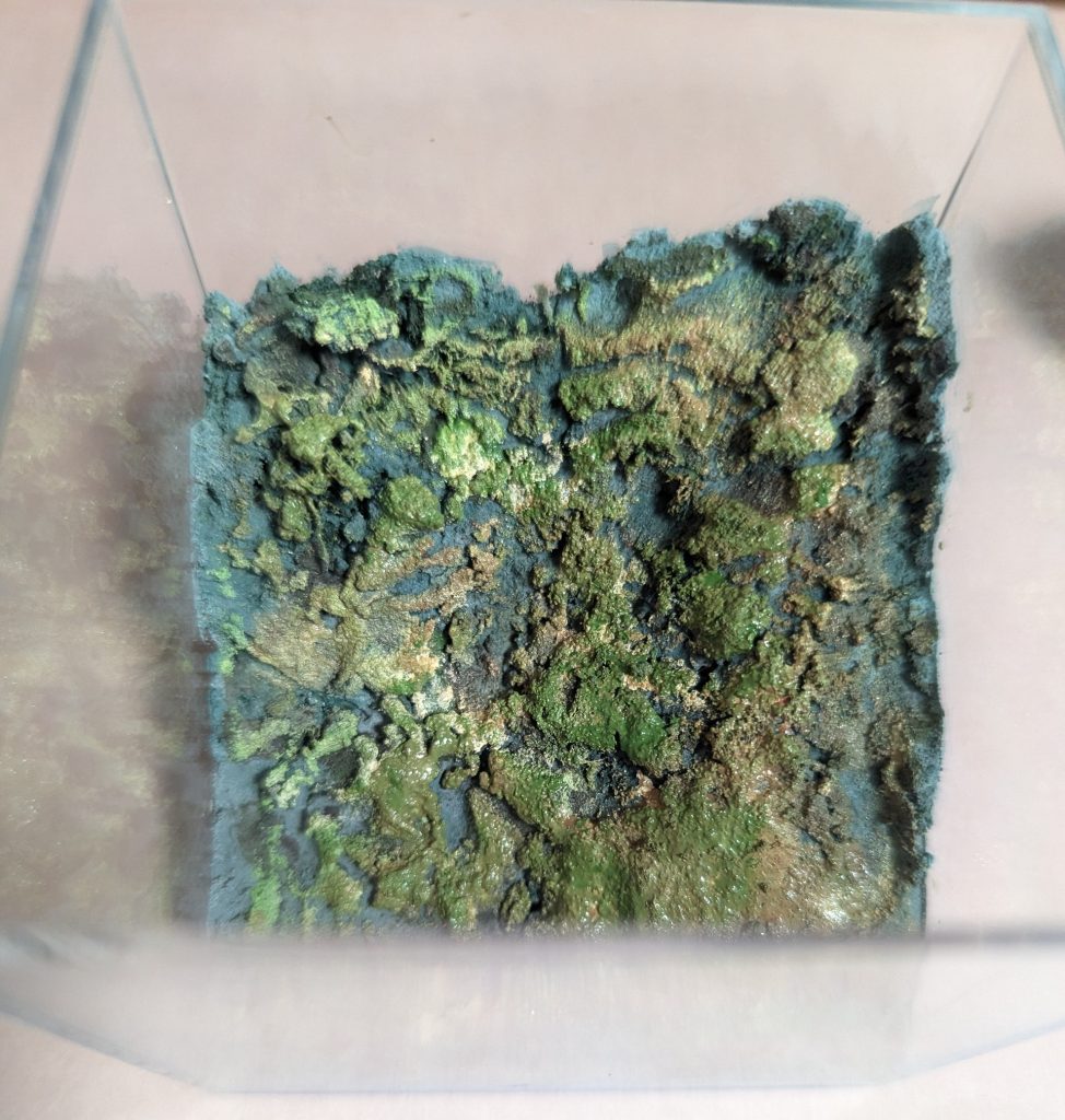 海の中をイメージして筆などで塗装していきまーす。