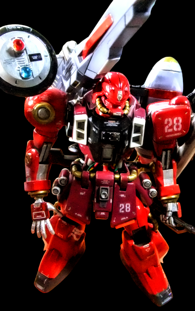 頭上からの画像デス。