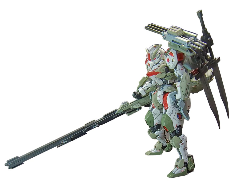 そして、悪化の一途をたどるナガモノスキー症候群。箒を延長です🤤。約30cmになりました😅