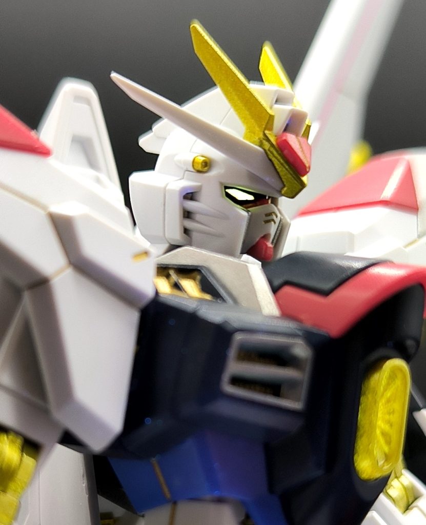 煽り気味に。この角度すごく好きです。写真はボケてるけど