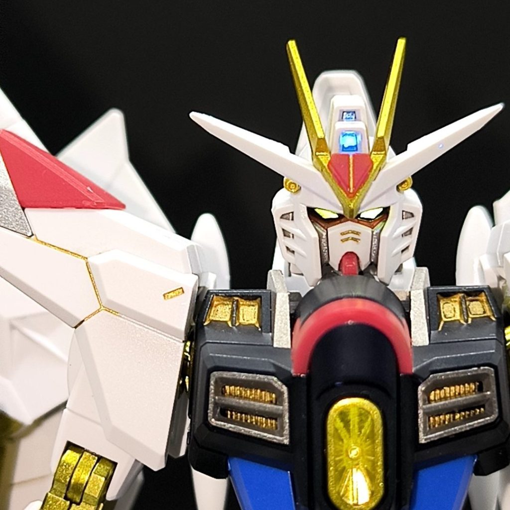 顔改修＆部分塗装 HG マイティストライクフリーダム｜僕、顔駄無。さんのガンプラ作品｜GUNSTA（ガンスタ）