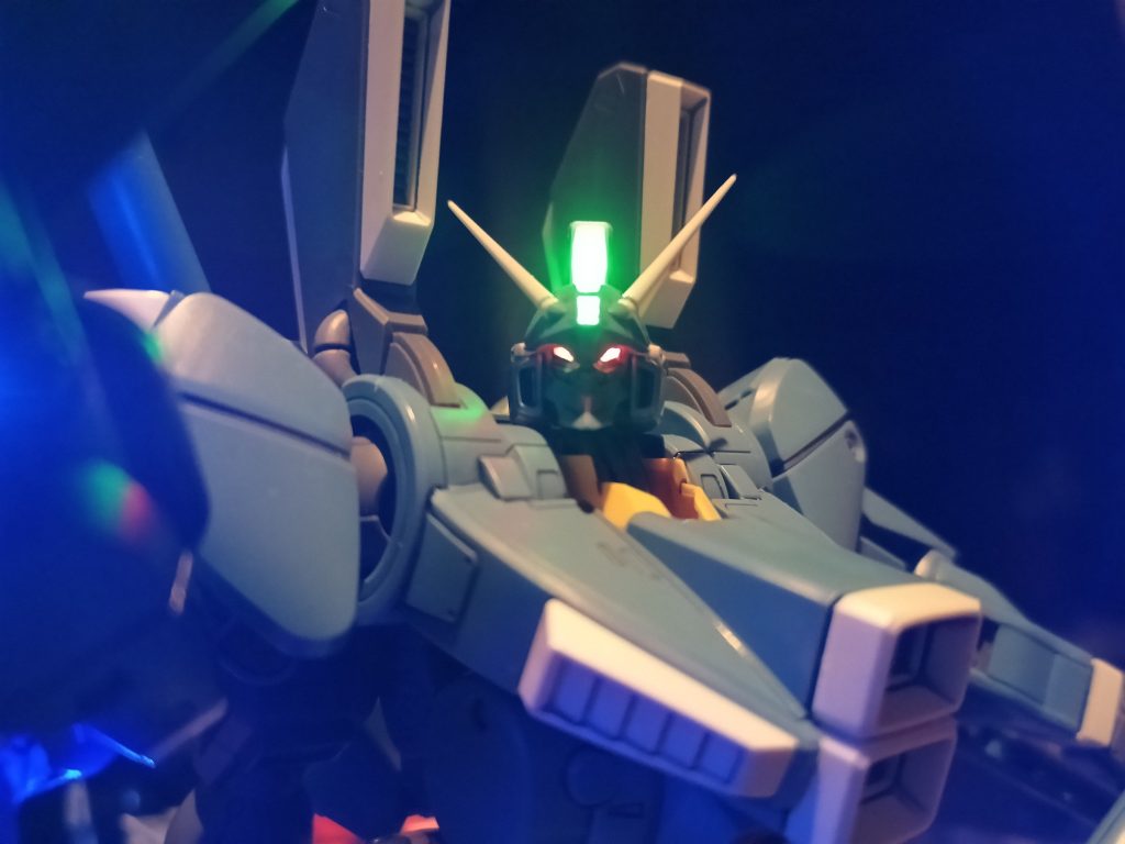 正面からだとなお目つきが悪い😅💦💦😂