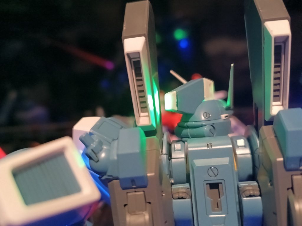 トサカの後も👍