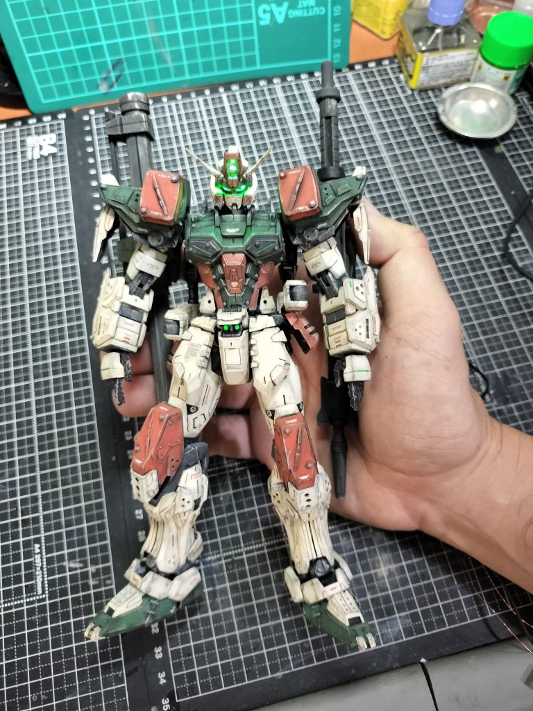 手に持つと　こんな感じ　でかいッス🤣