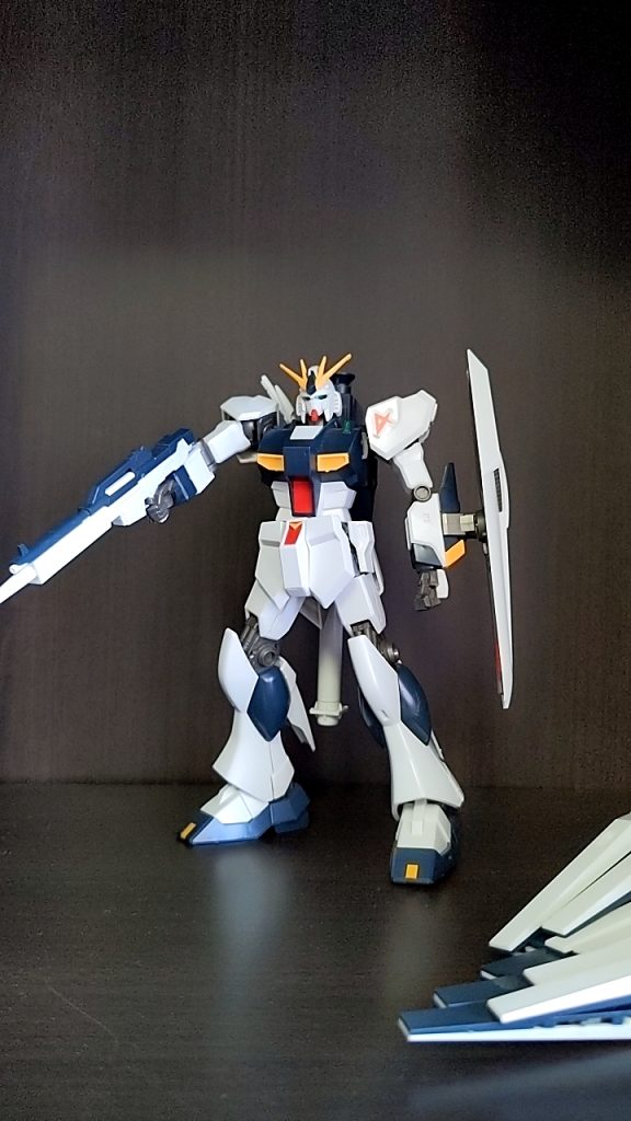 この姿でやってきた