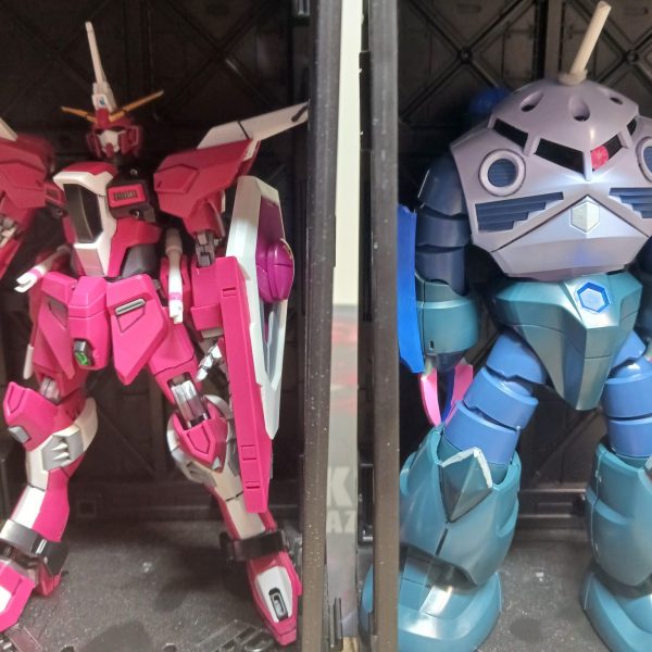 インフィニットジャスティスガンダム弍式＆ズゴック