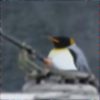 Jagdpenguin