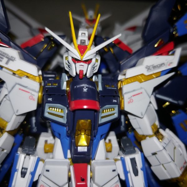 ストライクフリーダム、行きました