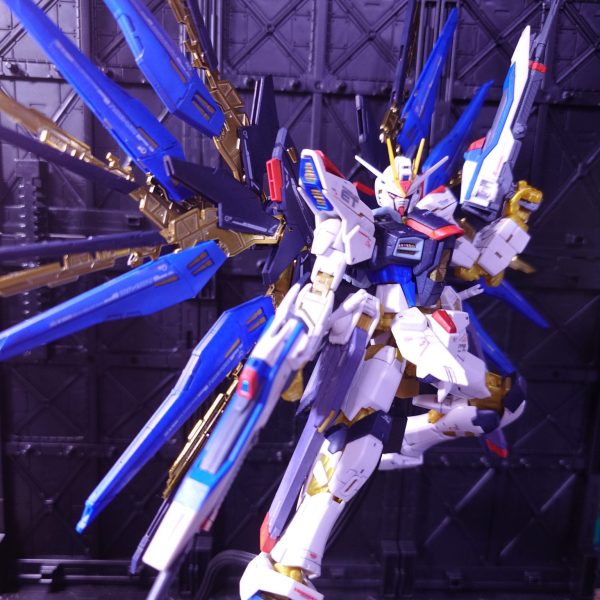 ⑤　ストライクフリーダム