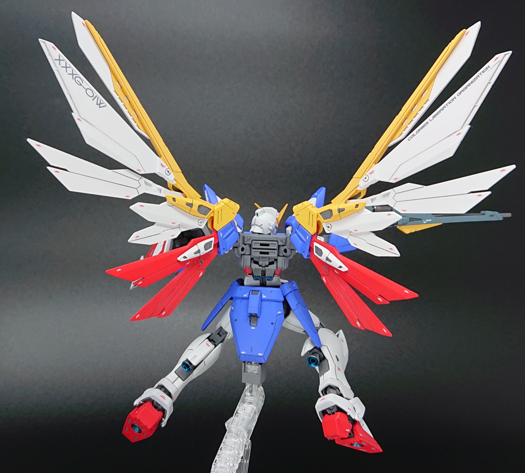 羽根を広げたらバックショットも圧巻です。