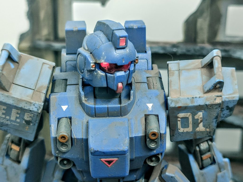 柴犬を飼っているので毛が結構映り込んじゃってますね…換毛期辛い…