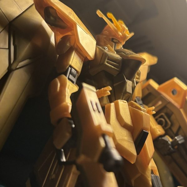 フリーダム　ゴールドインジェクション