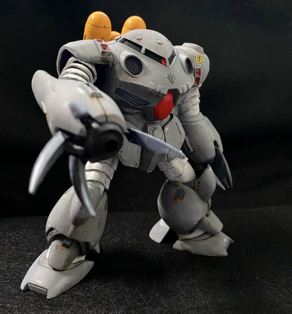 ズゴックEさん、長らく箱の中でお待たせしました。