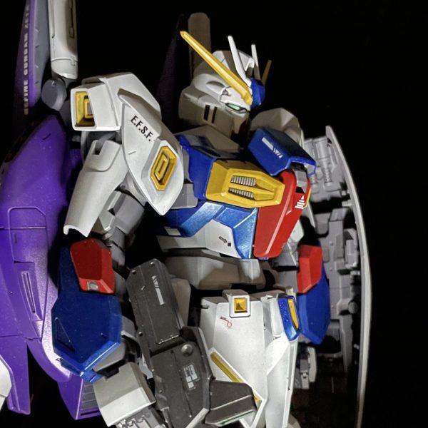 リ・ガズィーカスタム