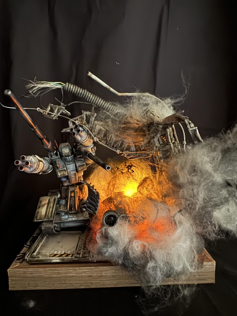 明るい所で正面。