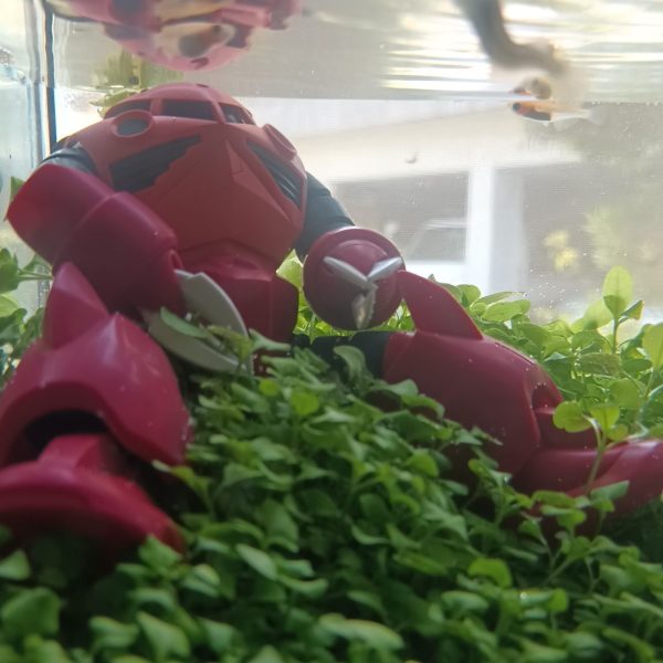 打ち捨てられたシャア専用ズゴック