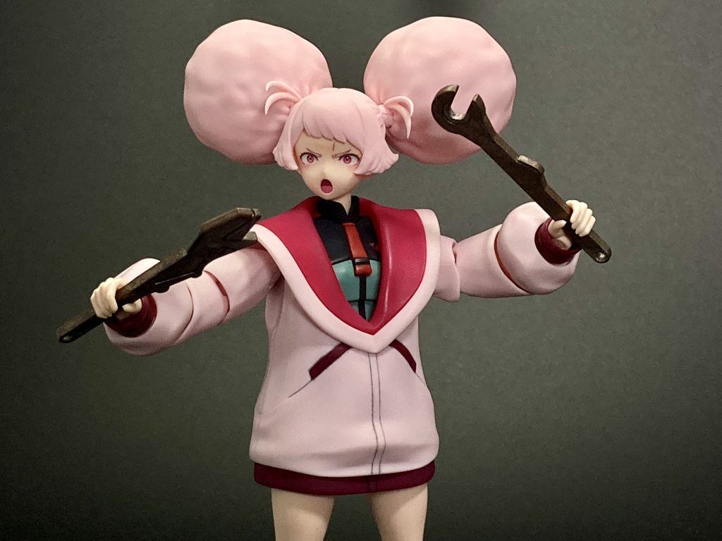 工具二刀流。チュチュと工具（大）は良く似合う。