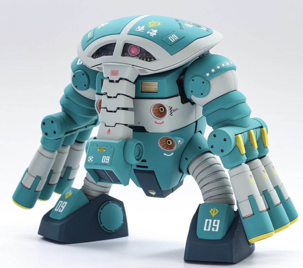 暑いうちに水泳部作れて良かったです