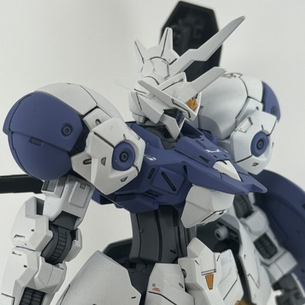 HG ミカエリス・ヴィダール