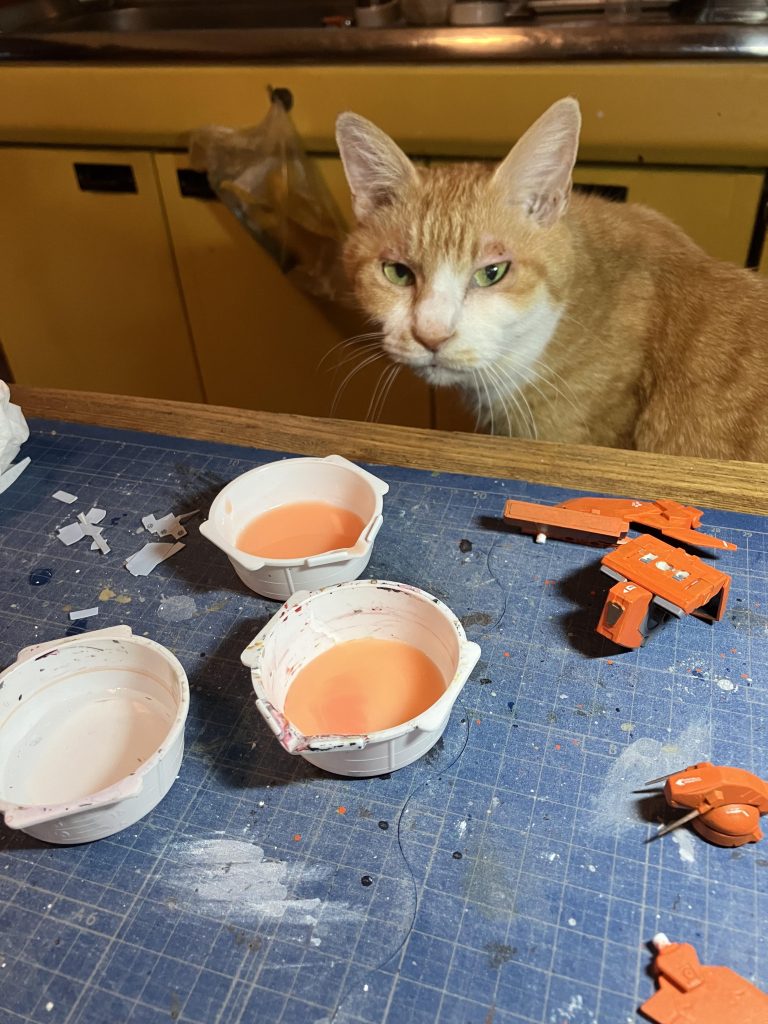 最後まで、ご覧いただきありがとうございましたm(_ _)m