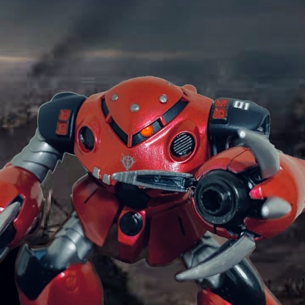 ズゴックE 自分専用カラー　