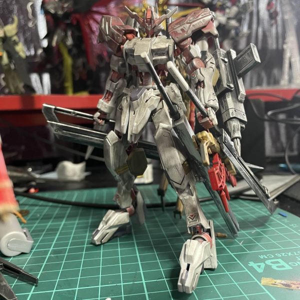 ヴィダール(重装備)