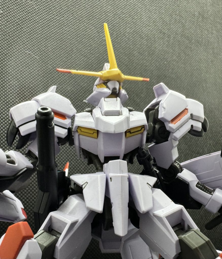 HG 1/144 端白星