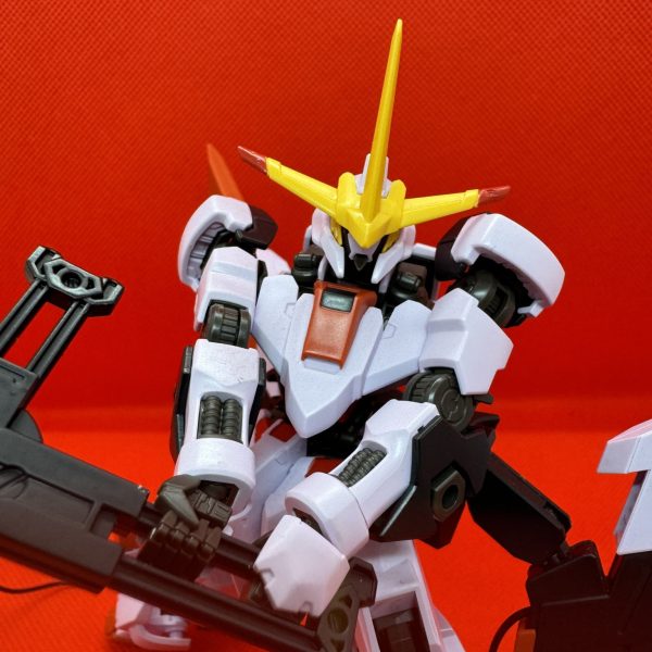 HG 1/144 端白星(第二形態)