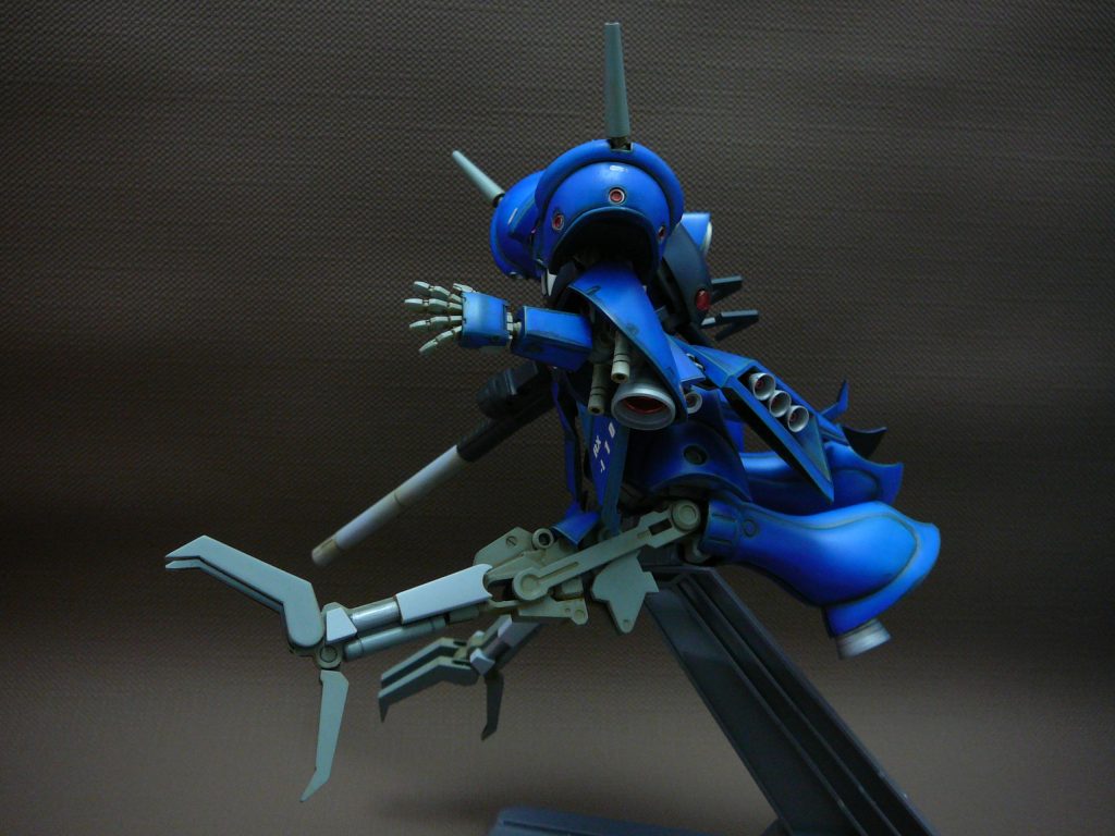 爪の大きさは横を向いた方が分かりますね