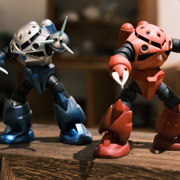 HG msn-07 / 07s ズゴック シャア専用