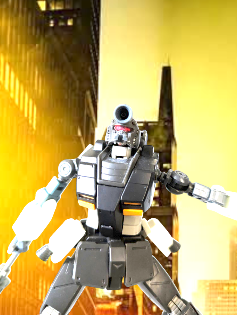 ローハイザック(シャドウレイヴン隊仕様)–4枚目/制作者:NeO