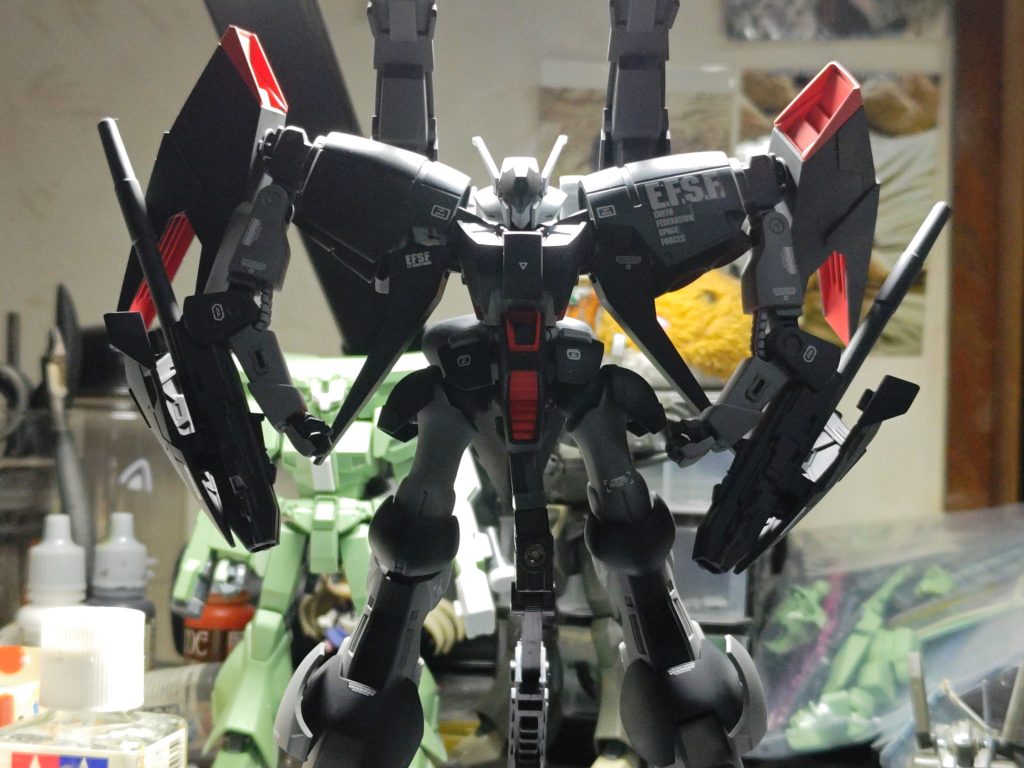 バイアランカスタム2号機–3枚目/制作者：シナっち