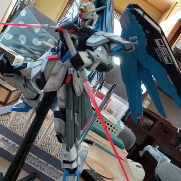 フリーダムガンダム(旧MG)