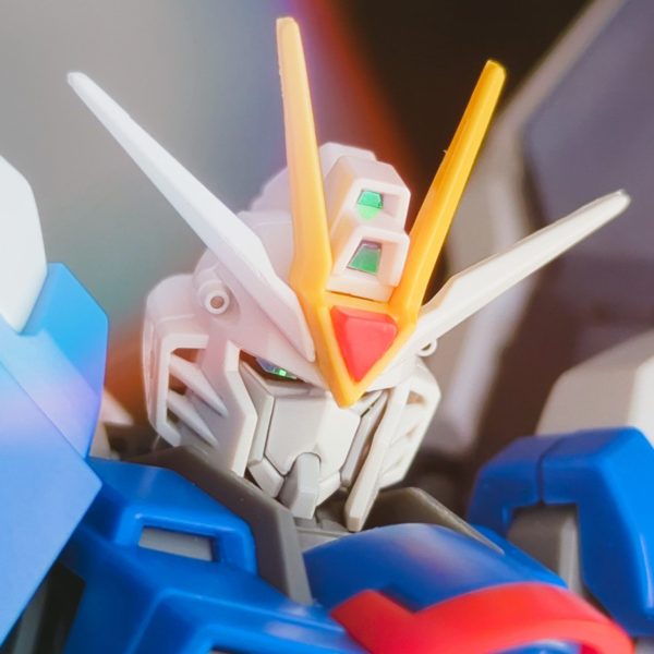 ライジングフリーダムガンダム