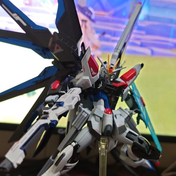 ライジングフリーダム（フリーダムカラーver）