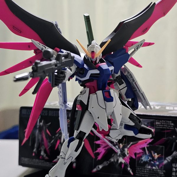 ディスティニー！スミ入れとつや消ししました！