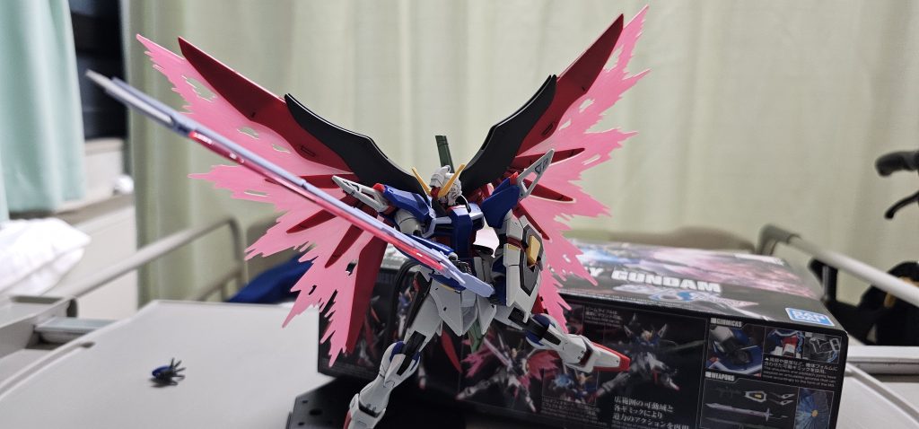 ディスティニー！スミ入れとつや消ししました！–3枚目/制作者：DANBuilder