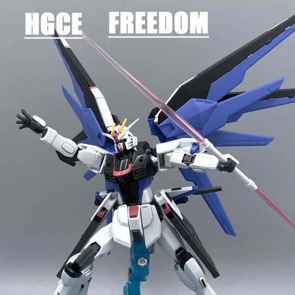 【HGCE】フリーダムガンダム【筆塗り全塗装】