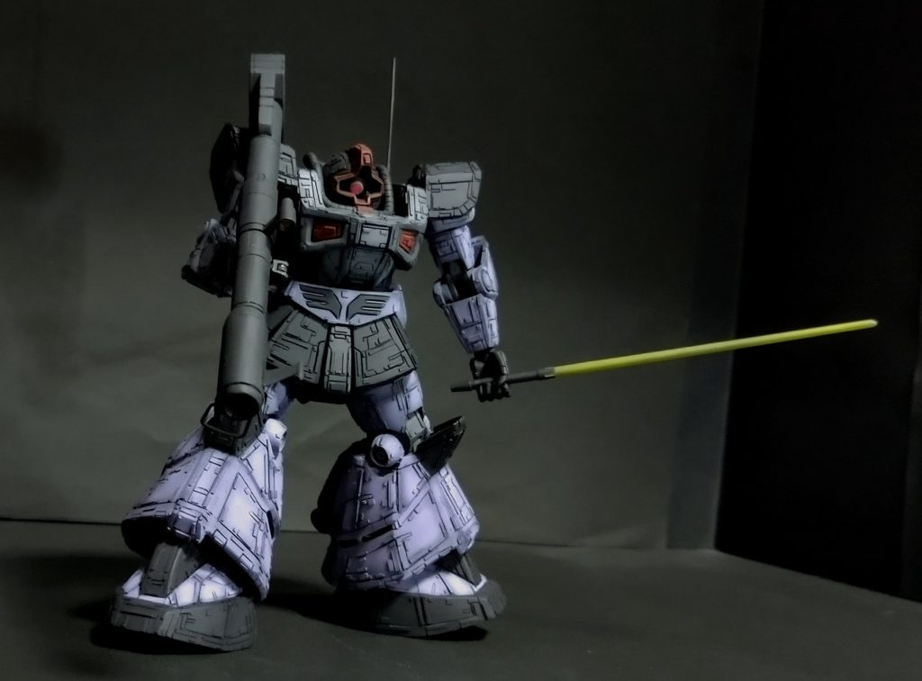 Pドム実戦機体色実証機–6枚目/制作者：AKさん