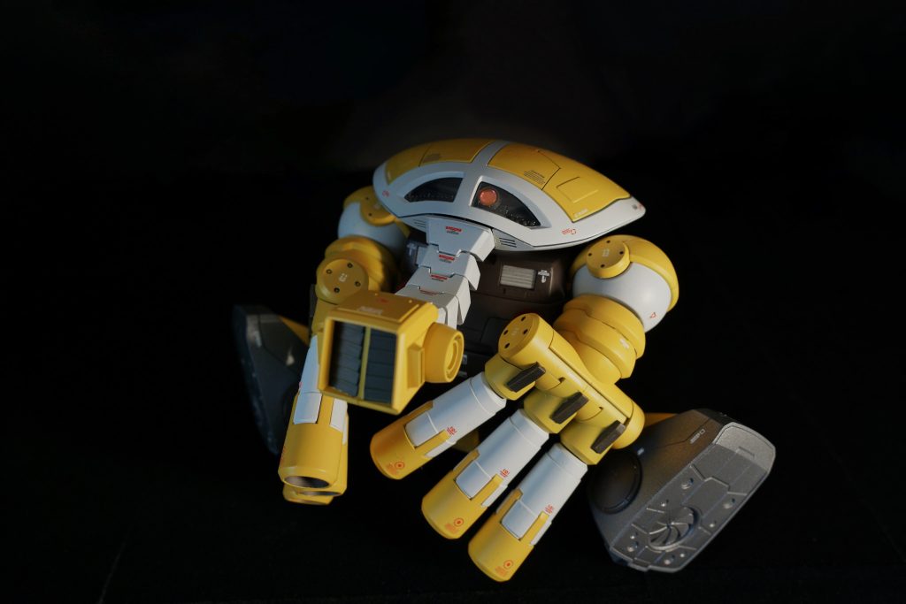 ジュアッグお約束のポーズ。