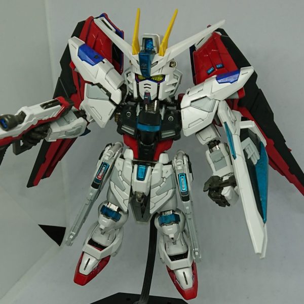 MGSD フリーダム