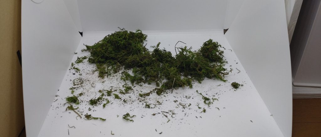 撮影後の惨状・・・ご視聴ありがとうございました。