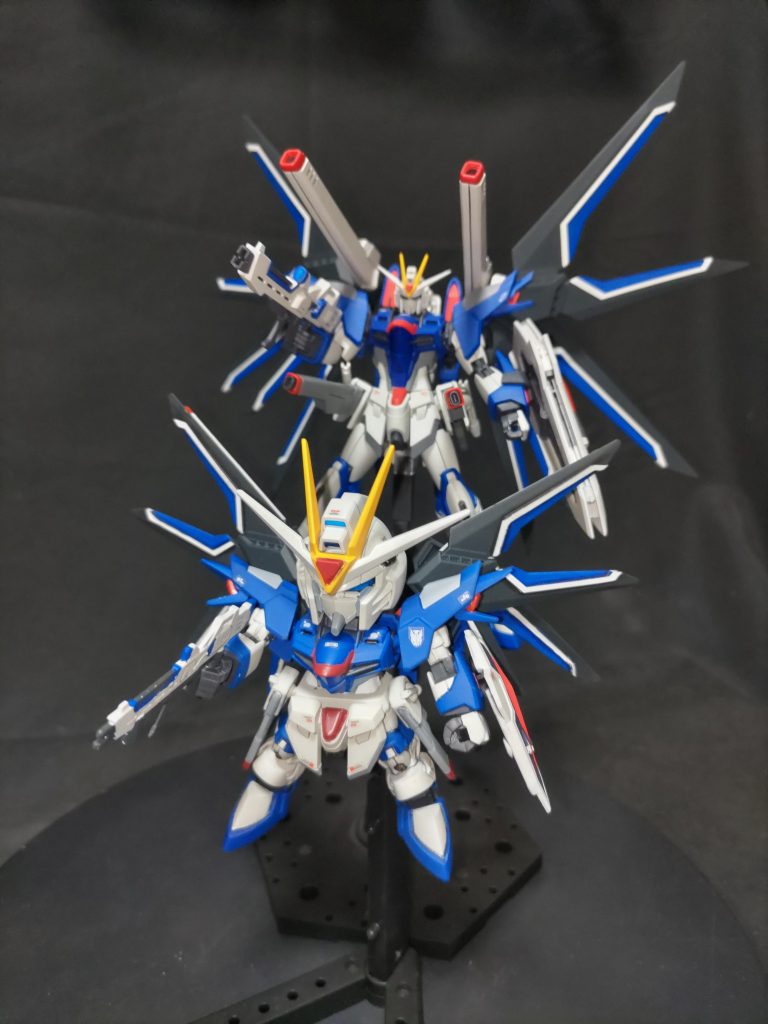 HGライジングフリーダムガンダムとツーショット